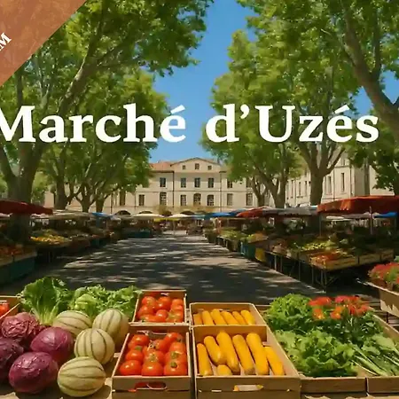 Les Chenes Verts - Piscine - Parc - Parking - Wifi Bed & Breakfast